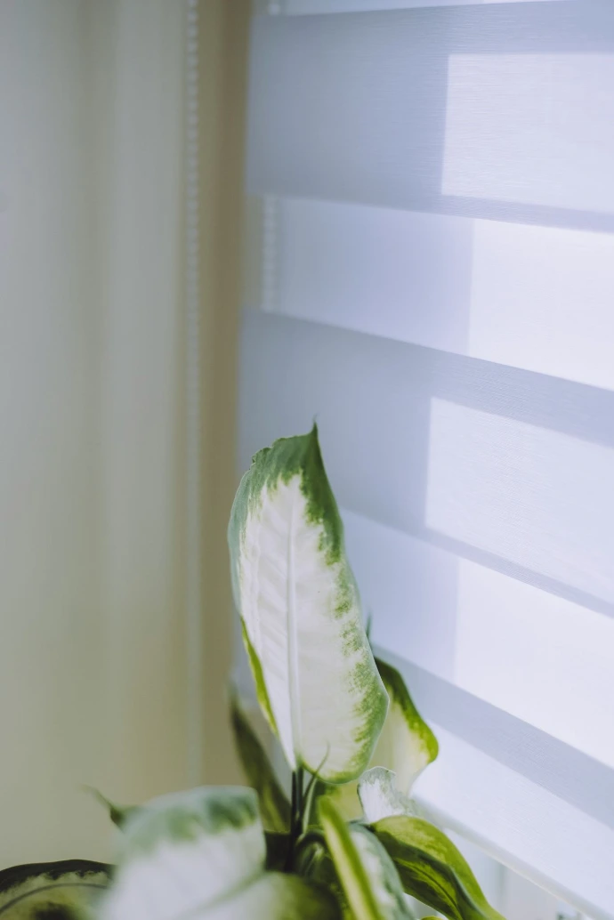 Close-up of white banded shades featuring alternating sheer and opaque fabric panels, offering adjustable light control, privacy, and a sleek modern design.