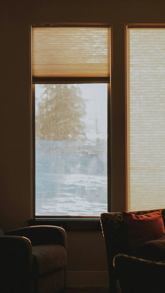 Custom honeycomb cellular shades on tall windows, featuring light-filtering fabric that provides privacy, insulation, and comfortable natural light.