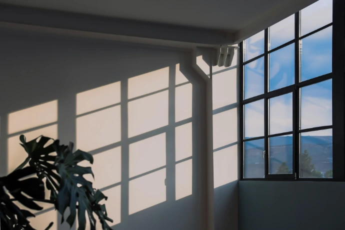 A monstera plant casting shadows from a window onto a white wall